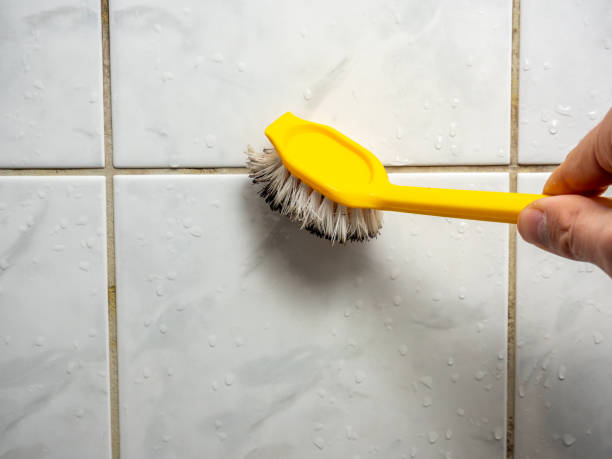  Brickerville, PA Mold Removal Pros