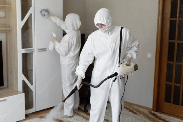 Mold Removal Process in Brickerville, PA
