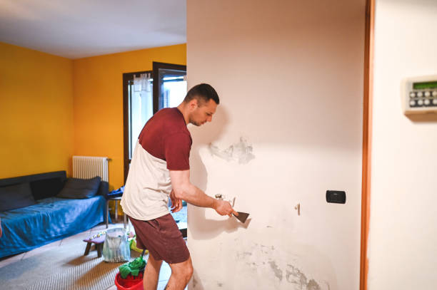 Best Mold Remediation  in Brickerville, PA