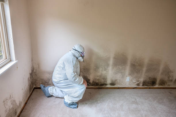 Best Crawl Space Mold Removal  in Brickerville, PA