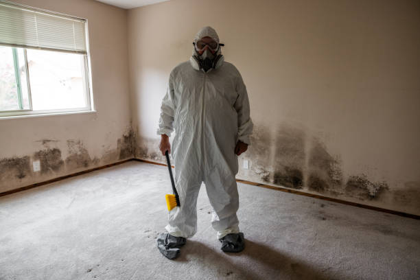 Best Fast Mold Removal  in Brickerville, PA